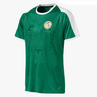 Camiseta Senegal Segunda Equipacion Copa Mundial 2018