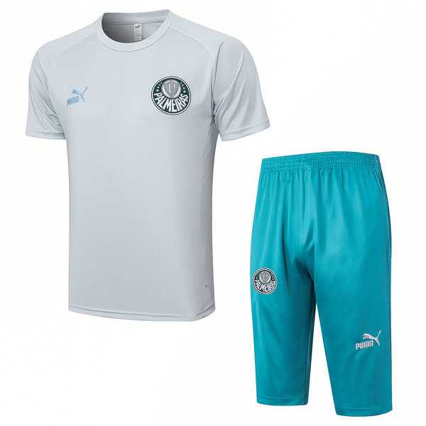Camiseta entrenamiento Palmeiras gris claro 2023-2024